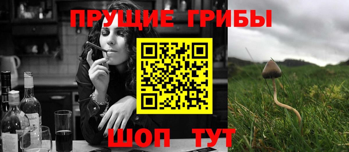 Галлюциногенные грибы Psilocybine cubensis  закладки  Хабаровск  Вход с VPN 